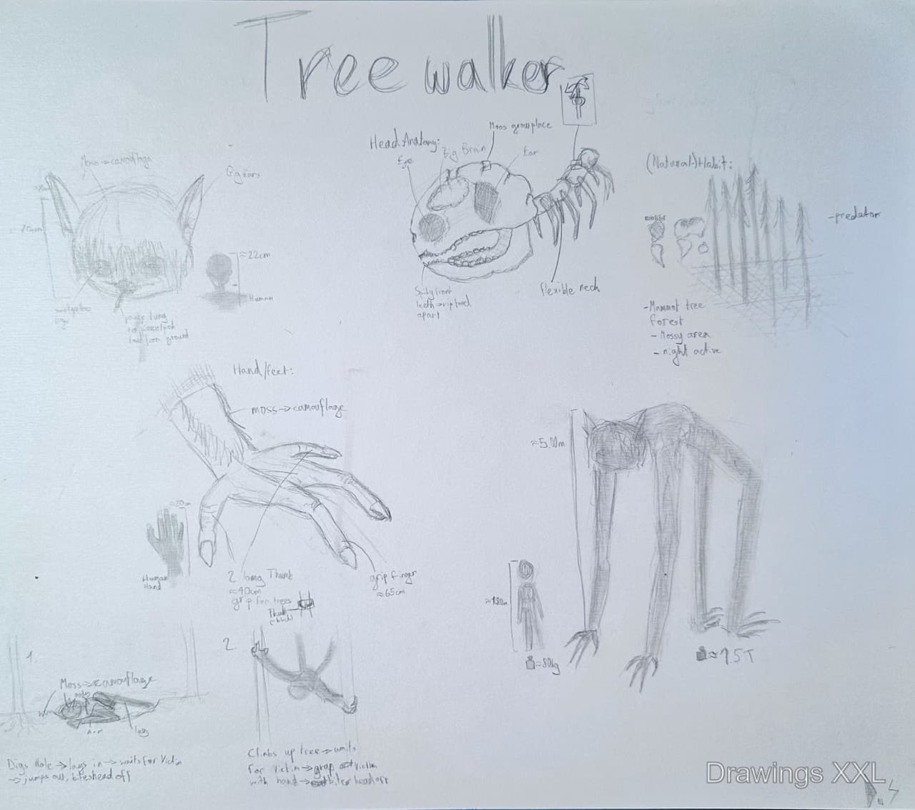 Original artwork: DrawingsXXL 13